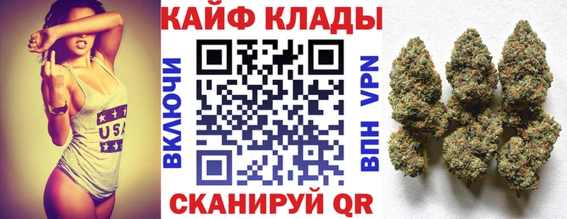 МЕФ Новозыбков