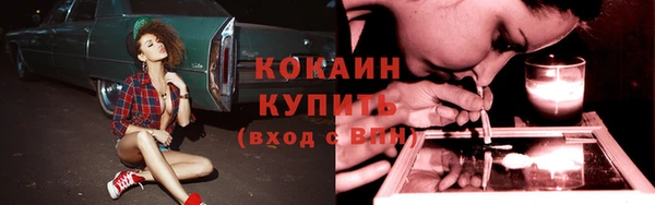 бошки Надым