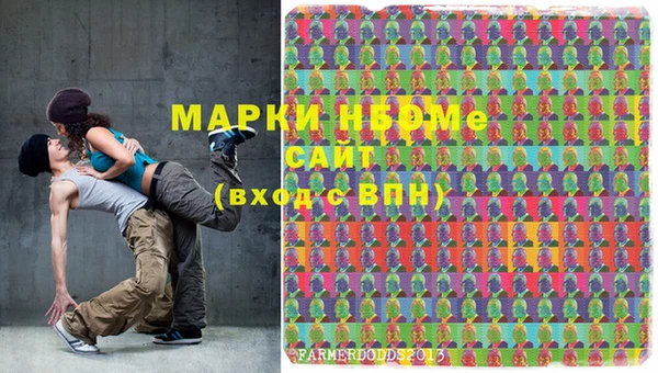 бошки Надым