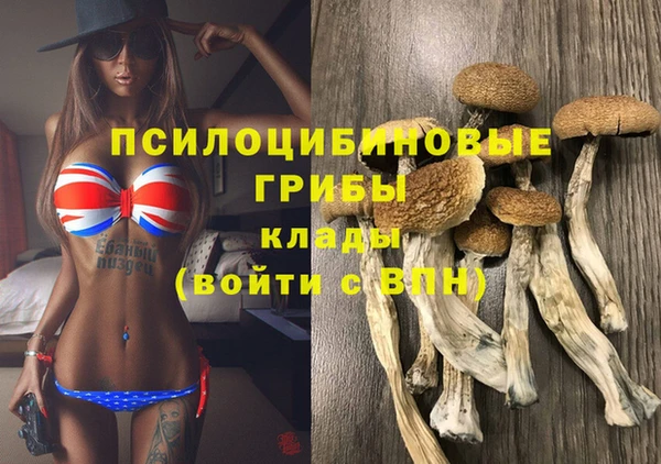 бошки Надым
