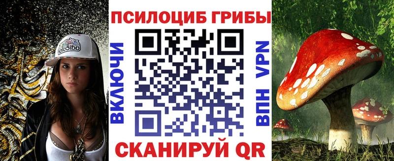 Купить закладки  Новозыбков  Галлюциногенные грибы GOLDEN TEACHER 