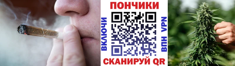 Бошки марихуана SATIVA & INDICA  Купить где  Новозыбков 